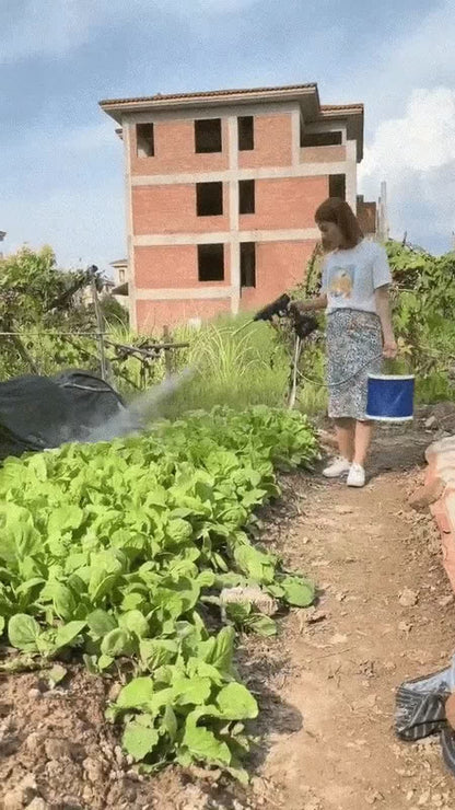 Arrosage et nettoyage dans un jardin