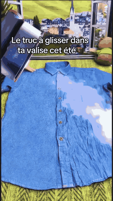 Défroisseur vapeur glissé dans un bagage de voyage