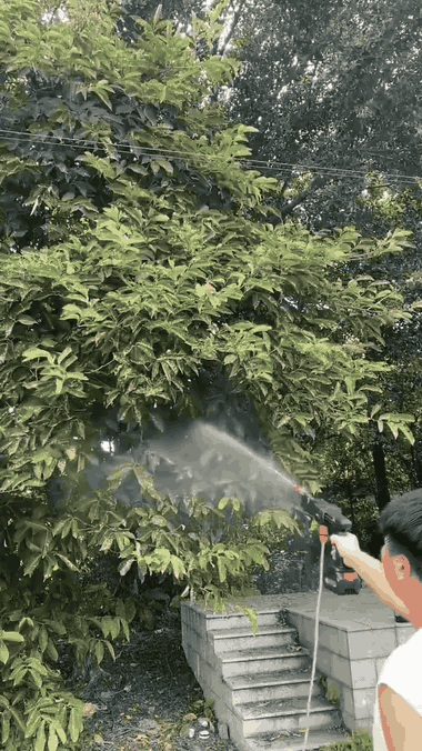 gif3 longue portee